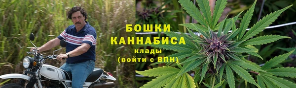 ECSTASY Гусиноозёрск