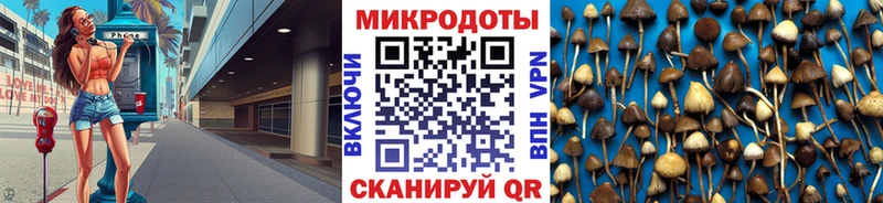Галлюциногенные грибы Psilocybine cubensis  Севск 